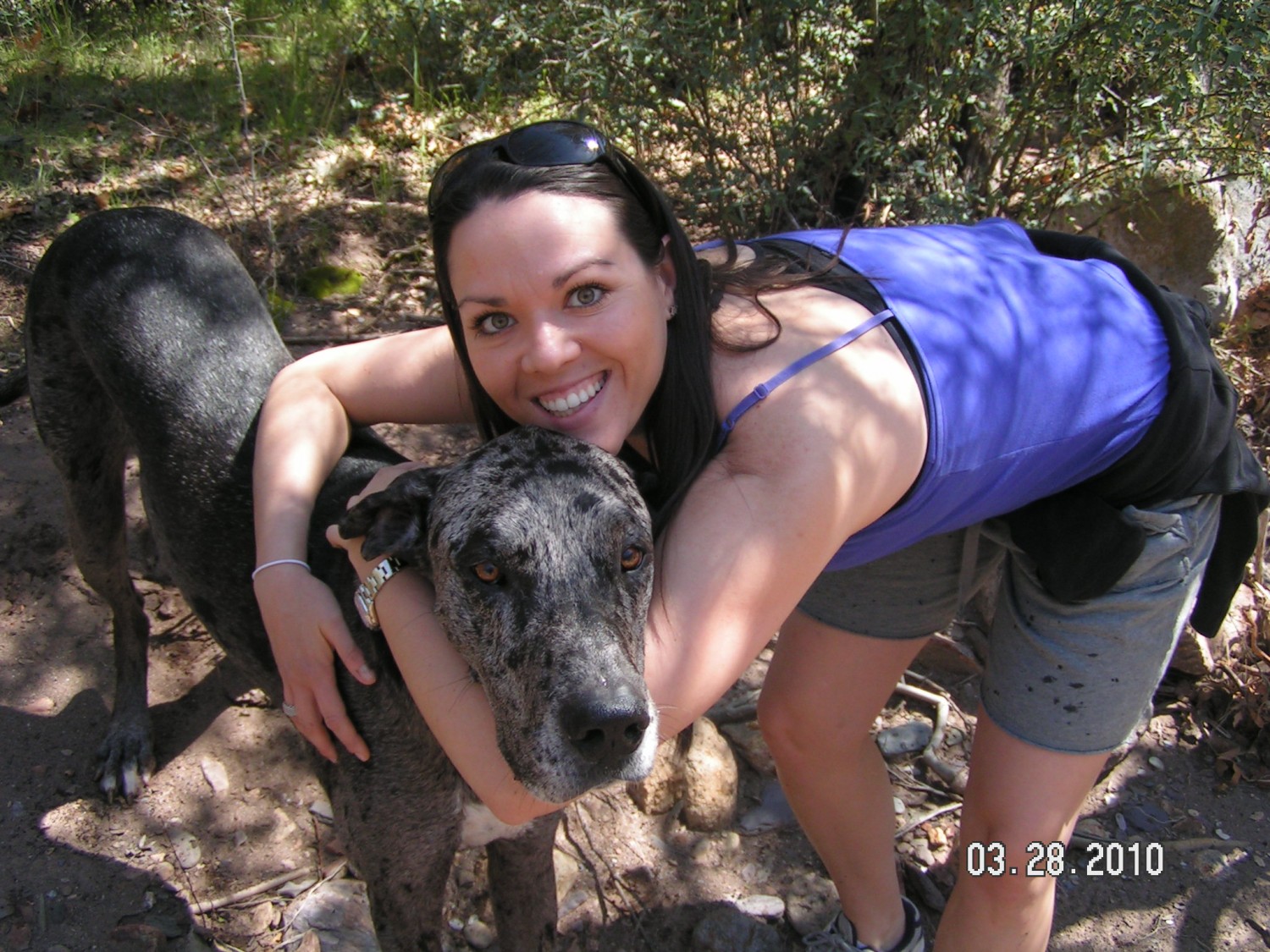 Dr. Andrea L. Swisher at Little Critters Veterinary Hospital in Gilbert, AZ. Providing Canine & Feline Care. Dr. Andrea L. Swisher at Little Critters Veterinary Hospital in Gilbert, AZ. Providing Canine & Feline Care.