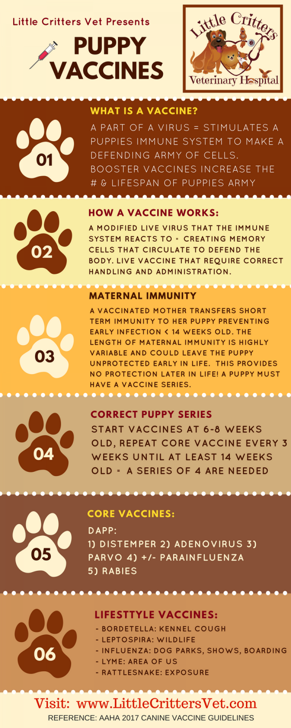 Puppy Vaccines Chart