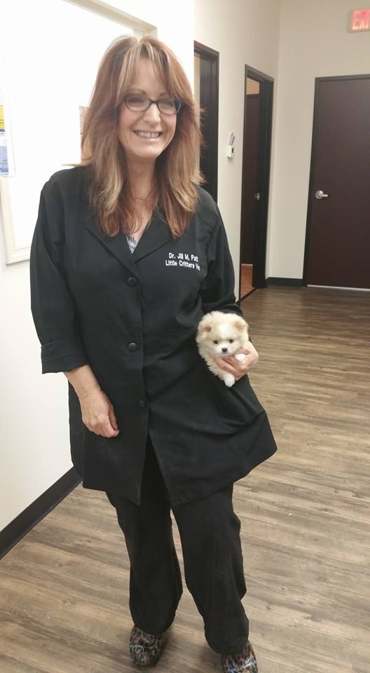 puppy care at little critters vet
