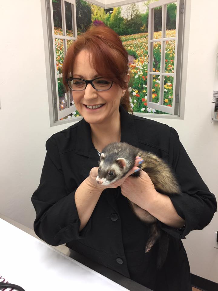 Ferret Care at Little Critters Veterinary Hospital Gilbert, AZ