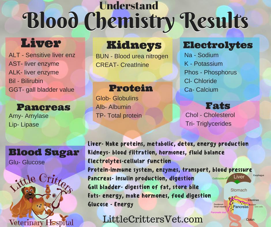 canine & feline blood chemistry 