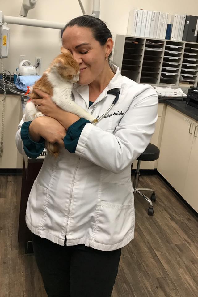 Dr. Swisher, Feline Care at Little Critters Vet