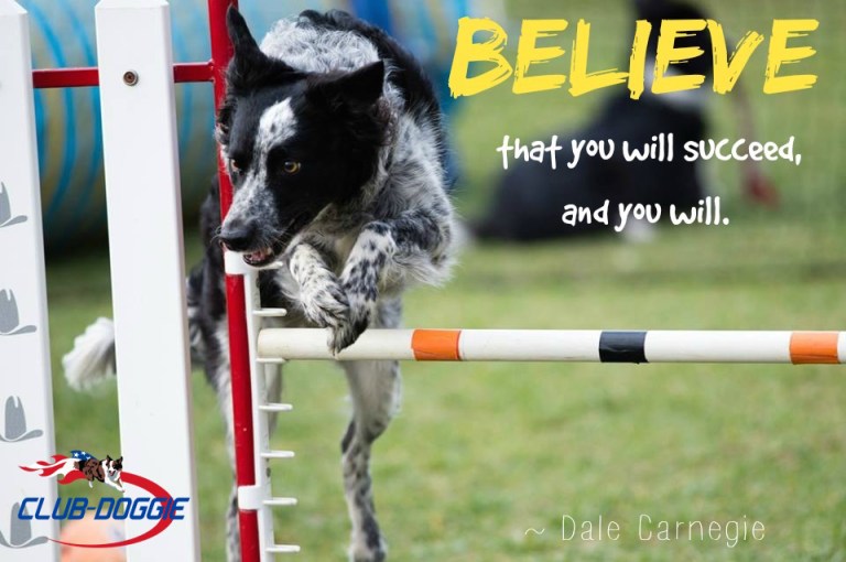 Club-Doggie Believe you can succeed 