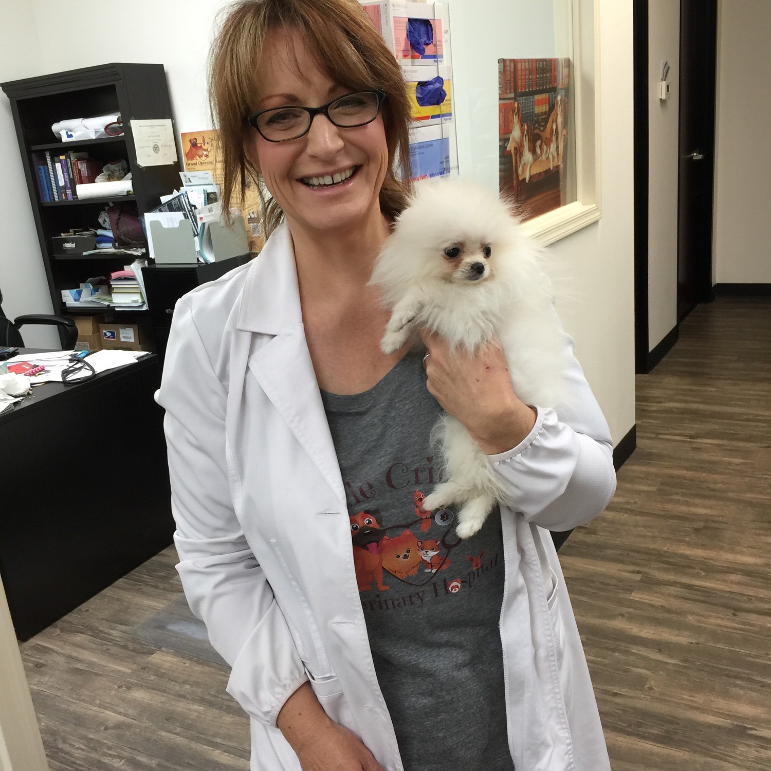 Dr. Jill M Patt Providing Experienced & Loving Care for all Dogs, Cats & Exotic Pets at Little Critters Veterinary Hospital in Gilbert, AZ