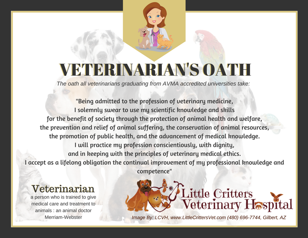 The veterinarian's oath by Little Critters Vet Gilbert, AZ