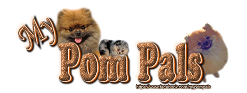 My Pom Pals