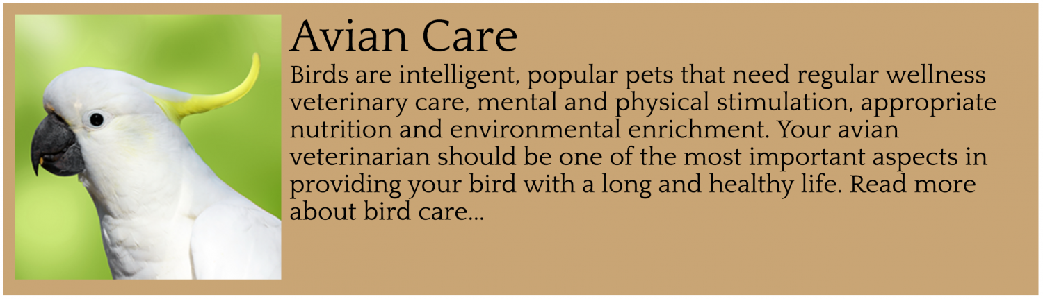Avian Care