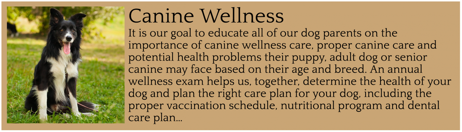 Canine Wellness