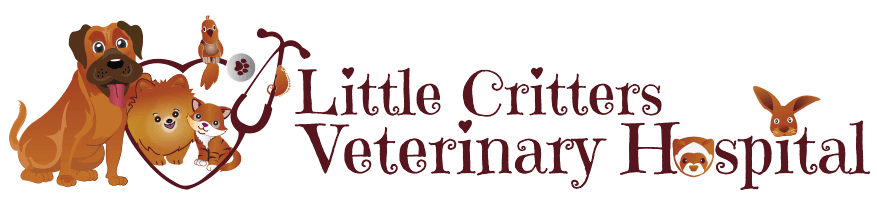 Little Critters Logo
